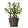 7" Green Potted Herbs Assort 3/pk - view 2 of 8